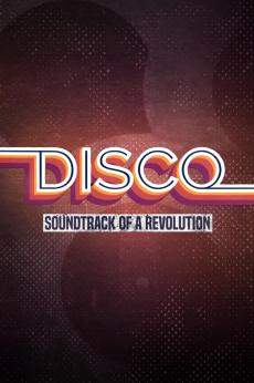 Disco: Soundtrack of a Revolution: show-poster2x3
