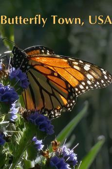 Butterfly Town, USA: show-poster2x3