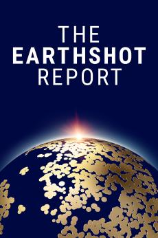 The Earthshot Report: show-poster2x3