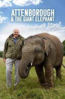 Attenborough and the Giant Elephant: show-poster2x3
