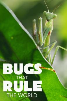 Bugs That Rule the World: show-poster2x3