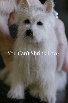 You Can't Shrink Love: show-poster2x3