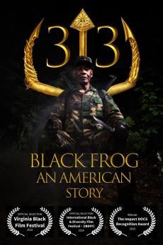 33 Black Frog: An American Story: show-poster2x3
