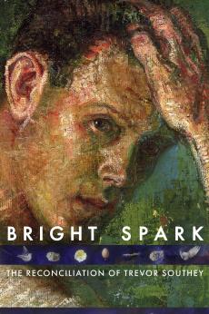 BRIGHT SPARK: The Reconciliation of Trevor Southey: show-poster2x3