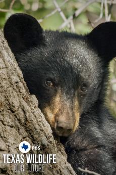 Texas Wildlife: Our Future: show-poster2x3