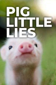 Pig Little Lies: show-poster2x3
