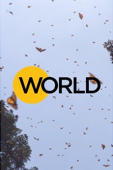 WORLD Channel: show-poster2x3