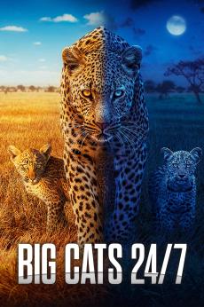 Big Cats 24/7: show-poster2x3