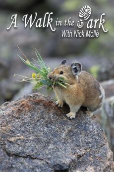 A Walk in the Park with Nick Mollé: show-poster2x3