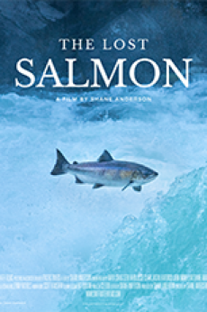 The Lost Salmon: show-poster2x3