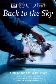 Back to the Sky: show-poster2x3