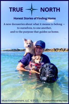 True North: Honest Stories of Finding Home: show-poster2x3