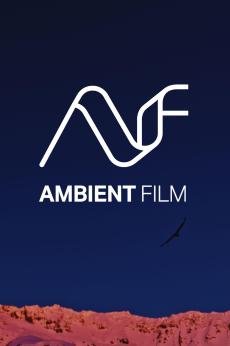 Ambient Film: show-poster2x3