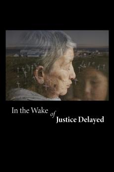 In the Wake of Justice Delayed: show-poster2x3