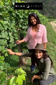 Wine First: show-poster2x3