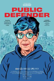 Public Defender: show-poster2x3
