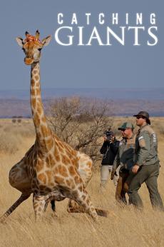 Catching Giants: show-poster2x3