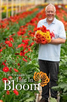 J Schwanke’s Life In Bloom: show-poster2x3