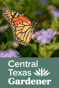 Central Texas Gardener: show-poster2x3