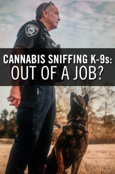 Cannabis Sniffing K-9s: Out of a Job?: show-poster2x3