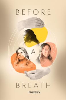 Before a Breath: America's Stillbirth Crisis: show-poster2x3
