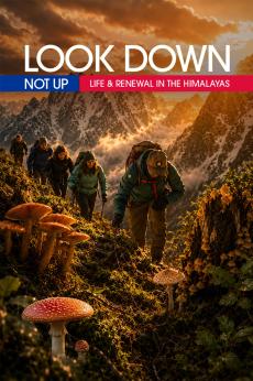 Look Down Not Up: Life & Renewal in the Himalayas: show-poster2x3