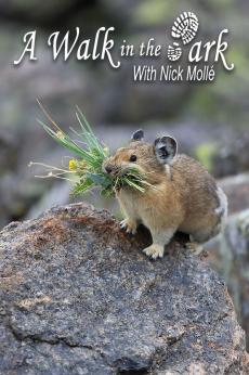 A Walk in the Park with Nick Mollé: show-poster2x3