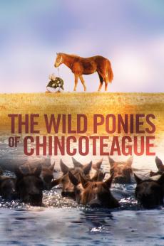 The Wild Ponies of Chincoteague: show-poster2x3