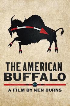 The American Buffalo: show-poster2x3