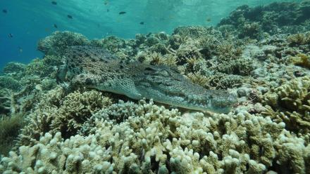 Episode 2 Preview | Violent: asset-mezzanine-16x9