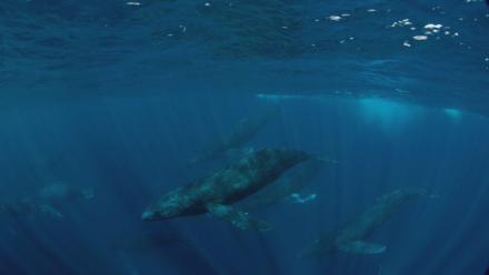 Episode 1 Extended Preview | Mysterious: asset-mezzanine-16x9