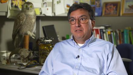 Encounter With an 11-foot Snake: asset-mezzanine-16x9