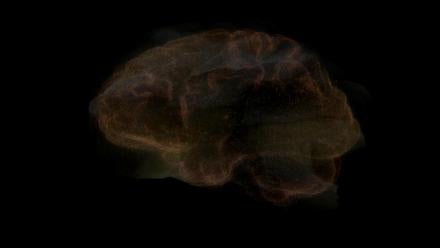 Episode 1 | How the Brain Creates Reality: asset-mezzanine-16x9