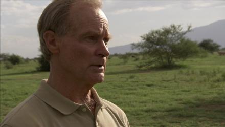 Why Cows Are Important: asset-mezzanine-16x9