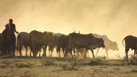 Plains | Official Trailer: asset-mezzanine-16x9