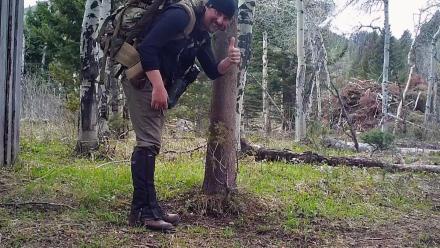 Biscuit Root and Bear Hugs: asset-mezzanine-16x9