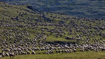 Next on Episode 2 | Caribou: asset-mezzanine-16x9