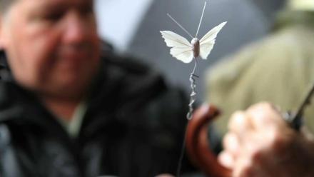 Butterfly | Behind the Scenes: asset-mezzanine-16x9