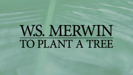 W.S. Merwin: To Plant a Tree Preview: asset-mezzanine-16x9