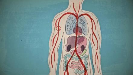 What Is Diabetes?: asset-mezzanine-16x9