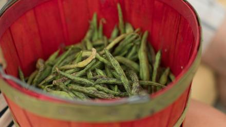 Rattlesnake Beans: asset-mezzanine-16x9