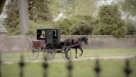 Angelina Leaves Home: asset-mezzanine-16x9