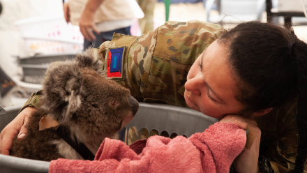 Emergency Vet Care During Australian Bushfires: asset-mezzanine-16x9
