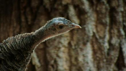 Basic Instincts: asset-mezzanine-16x9