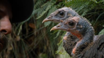 Turkey Talk: asset-mezzanine-16x9