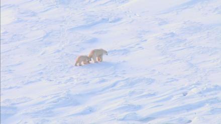 Education | A Global Warming Warning: asset-mezzanine-16x9