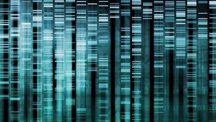 Cracking Your Genetic Code Preview: asset-mezzanine-16x9