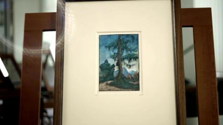 Nature Becomes the Story: asset-mezzanine-16x9