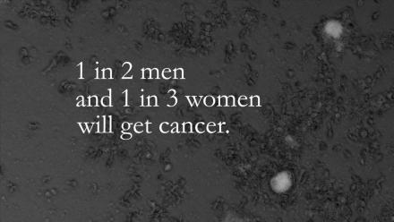 Researchers Montage: asset-mezzanine-16x9