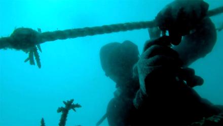 Electro-Reef: asset-mezzanine-16x9